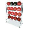 Powder-Coated Ball Cart, Metal, 132 Lb Capacity, 17 x 41 x 53, Silver