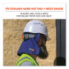 Chill-Its 6717Fr Fr Cooling Hard Hat Pad And Neck Shade, 12.5 x 9.75, Blue