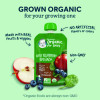 Organic 2Nd Foods Baby Food Pouches, Assorted Flavors, 3.5 Oz Pouch, 12/Carton