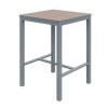 Eveleen Outdoor Bistro Patio Table With Two Mocha Powder-Coated Polymer Barstools, 30" Square, Mocha