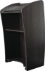 Vision Lectern, 24 x 21 x 46, Ribbonwood