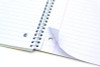 Letter Size Notebook, 1-Subject, Medium/College Rule, Metallic Green/White Cover, (50) 10.5 x 8 Sheets, 3/Pack