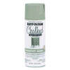 Ultra Matte Chalked Paint, Matte Country Gray, 12 Oz Aerosol Can