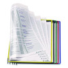 Foldfive Pockets, 25 Sections, Clear Panel Assorted Color Border, 5/Pack