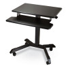 Mobile Height Adjustable Standing Desk With Keyboard Tray, 25.6 x 17.7 x 29 To 44, Black