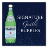 Sparkling Water Bottles, Unflavored, 16.9 Oz Bottle, 24/Carton