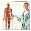 Double-Sided Magnetic Human Body, Grades K To 5, English/Spanish, Assorted Colors, 17 Pieces