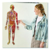 Double-Sided Magnetic Human Body, Grades K To 5, English/Spanish, Assorted Colors, 17 Pieces