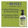 Clean Day Foaming Hand Soap, Lemon Scent, 10 Oz, 4/Carton