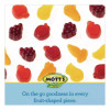 Medleys Fruit Snacks, 0.8 Oz Pouch, 90 Pouches/Box