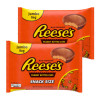 Snack Size Peanut Butter Cups, 19.5 Oz Bag, 2 Bags/Carton