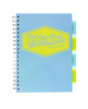 B5 Size Project Book, 4-Subject, Medium/College Rule, Assorted Pastel Cover Colors, (100) 9.8 x 6.9 Sheets, 3/Pack
