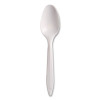 Style Setter Medium Weight Polypropylene Cutlery, Teaspoon, Plastic, White, 1,000/Carton