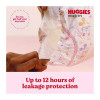 Snug And Dry Diapers, Size 2, 12 Lbs To 18 Lbs, 116/Carton