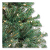 Pre-Lit Acacia Tree, 37" x 37" x 70.8", Green Tree, Green Tree Stand