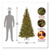 Pre-Lit Aspen Spruce Slim Tree, 42" x 42" x 78", Green Tree, Green Tree Stand