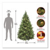Pre-Lit Carolina Pine Tree, 55" x 55" x 78", Green Tree, Green Tree Stand