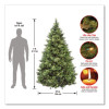 Pre-Lit Carolina Pine Tree, 58" x 58" x 84", Green Tree, Green Tree Stand
