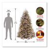 Pre-Lit Dunhill Fir Snowy Tree, 55" x 55" x 84", Green Tree, Green Tree Stand