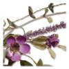 Garden Accents Purple Daisy Wreath, 20" x 3", Purple
