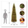 Pre-Lit Kingswood Fir Pencil Slim Tree, 37" x 37" x 120", Green Tree, Green Tree Stand