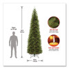Kingswood Fir Pencil Tree, 46" x 46" x 144", Green Tree, Green Tree Stand