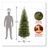 Kingswood Fir Pencil Tree, 29" x 29" x 84", Green Tree, Green Tree Stand