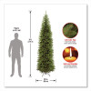 Kingswood Fir Pencil Tree, 35" x 35" x 108", Green Tree, Green Tree Stand