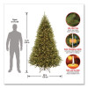 Pre-Lit Kingswood Fir Tree, 55" x 55" x 90", Green Tree, Green Tree Stand