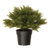 Artificial Globe Juniper, 15" x 15" x 15", Green Plant, Green Pot