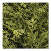 Globe Juniper Topiary Tree, 20" x 28" x 20", Green Tree, Green Pot