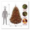Pre-Lit Natural Fraser Fir Tree, 60" x 60" x 90", Green Tree, Green Tree Stand