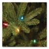 Pre-Lit Natural Fraser Fir Tree, 60" x 60" x 90", Green Tree, Green Tree Stand