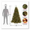 Pre-Lit North Valley Spruce Tree, 39" x 39" x 72", Green Tree, Green Tree Stand