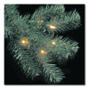 Pre-Lit North Valley Spruce Blue Tree, 42" x 42" x 78", Blue Tree, Green Tree Stand