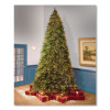 Pre-Lit Downswept Douglas Fir Tree, 92" x 92" x 144", Green Tree, Green Tree Stand