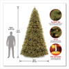 Pre-Lit Downswept Douglas Fir Tree, 92" x 92" x 144", Green Tree, Green Tree Stand