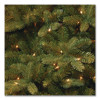 Pre-Lit Downswept Douglas Fir Tree, 49" x 49" x 78", Green Tree, Green Tree Stand