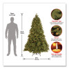 Pre-Lit Downswept Douglas Fir Tree, 49" x 49" x 78", Green Tree, Green Tree Stand