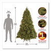 Pre-Lit Downswept Douglas Fir Tree, 59" x 59" x 90", Green Tree, Green Tree Stand
