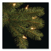Pre-Lit Downswept Douglas Fir Pencil Slim Tree, 30" x 30" x 78", Green Tree, Green Tree Stand