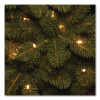 Pre-Lit Downswept Douglas Fir Pencil Slim Tree, 30" x 30" x 78", Green Tree, Green Tree Stand