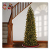Pre-Lit Downswept Douglas Fir Pencil Slim Tree, 30" x 30" x 78", Green Tree, Green Tree Stand