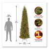 Pre-Lit Downswept Douglas Fir Pencil Slim Tree, 35" x 35" x 108", Green Tree, Green Tree Stand