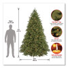 Pre-Lit Grande Fir Pencil Slim Tree, 78" x 78" x 108", Green Tree, Green Tree Stand