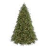 Pre-Lit Grande Fir Pencil Slim Tree, 78" x 78" x 108", Green Tree, Green Tree Stand