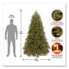 Pre-Lit Jersey Fraser Fir Medium Tree, 56" x 56" x 90", Green Tree, Green Tree Stand