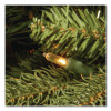 Pre-Lit Jersey Fraser Fir Slim Tree, 43" x 43" x 78", Green Tree, Green Tree Stand