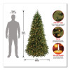 Pre-Lit Jersey Fraser Fir Slim Tree, 43" x 43" x 78", Green Tree, Green Tree Stand