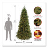 Pre-Lit Jersey Fraser Fir Slim Tree, 57" x 57" x 108", Green Tree, Green Tree Stand
